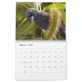 Die Vögel von Forsythe II Kalender (Feb 2027)