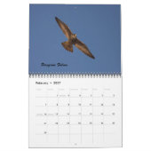 Die Vögel von Forsythe Kalender (Feb 2027)