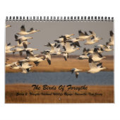 Die Vögel von Forsythe Kalender (Titelbild)