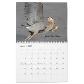 Die Vögel von Forsythe Kalender (Mär 2027)