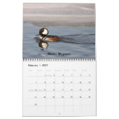 Die Vögel von Forsythe - offizieller Kalender (Feb 2027)