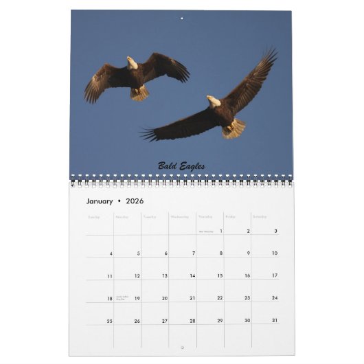 Die Vögel von Forsythe - offizieller Kalender (Jan 2026)