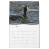 Die Vögel von Forsythe - offizieller Kalender (Mär 2026)
