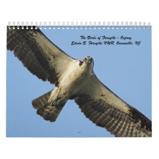 Die Vögel von Forsythe - Osprey Kalender