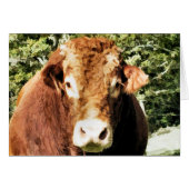 DIE VOLLKARTE (Vorderseite (Horizontal))