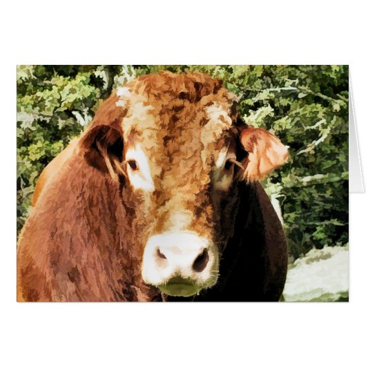 DIE VOLLKARTE (Vorderseite (Horizontal))