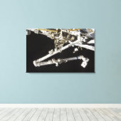 Die von Kanada gebaute Raumstation Leinwanddruck (Insitu (Holzboden))