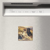 Die Waffen bedienen Magnet (In Situ (Geschirrspüler))