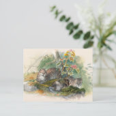 Die Wagati-Katze von Joseph Wolf Postkarte (Stehend Vorderseite)