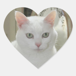 Die wahre Hübsche Katzenprinzessin Herz-Aufkleber
