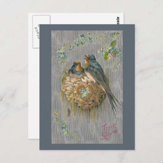Die wahre Liebe zum Schwalben im Nest Postkarte (Vorne/Hinten)