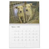 Die wahren Krägen Kalenders des Hund2010 Kalender (Feb 2026)