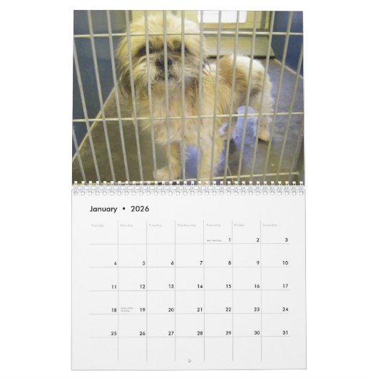 Die wahren Krägen Kalenders des Hund2010 Kalender (Jan 2026)
