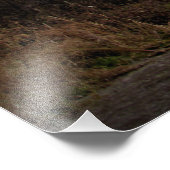 "Die Wahrheit ist hier" Fotodruck (Ecke)