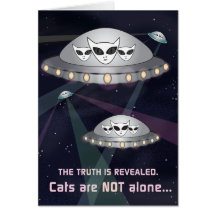 Die Wahrheit ist offen: Katzen sind nicht allein!