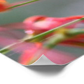 Die Wahrheit wird dir das kostenlose Poster Set, V (Ecke)