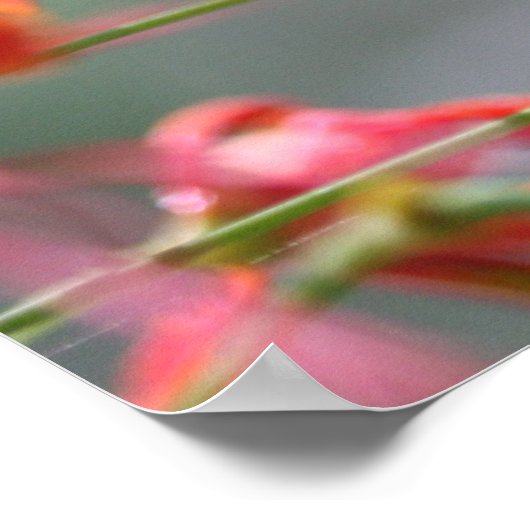 Die Wahrheit wird dir das kostenlose Poster Set, V (Ecke)