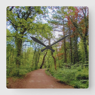 Die Wälder Quadratische Wanduhr