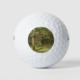 Die Waldreinigung (Waldlandschaft) Golfball