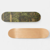 Die Waldreinigung (Waldlandschaft) Skateboard (Horizontal)