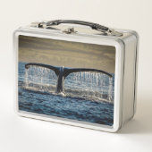 Die Wale Metall Brotdose (Vorderseite)