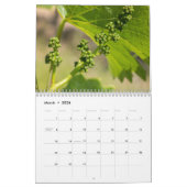 Die Wand Kalender der Wein ... Impressionen 2026 (Mär 2026)
