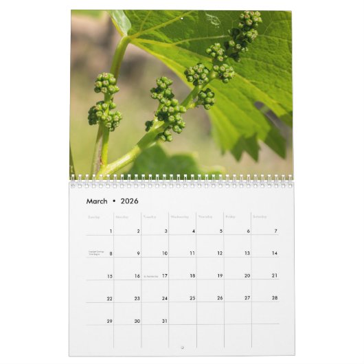 Die Wand Kalender der Wein ... Impressionen 2026 (Mär 2026)