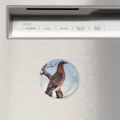 Die Wandertaube Magnet (In Situ (Geschirrspüler))