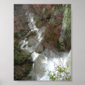 Die Wasserfälle Poster (Vorne)