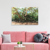 Die Wasserfarbe des Engel-Eichen Leinwanddruck (Insitu (Wohnzimmer))