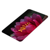 Die Wasserlilie Magnet (Linke Seite)