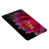 Die Wasserlilie Magnet (Rechte Seite)