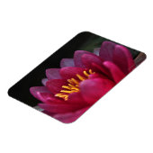 Die Wasserlilie Magnet (Linke Seite)