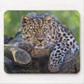 Die Watchmousemat Mousepad (Vorne)