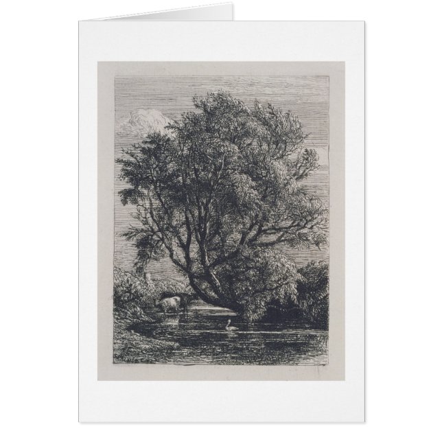Die Weide (Radierung) (Vorne)