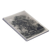 Die Weide (Radierung) Notizblock (Rechte Seite)