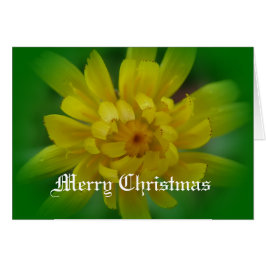 Die Weihnachtskarte der Blume aus gelbem Kronleuch