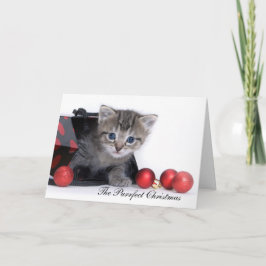Die Weihnachtskarte für den Zweck Feiertagskarte