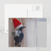 Die Weihnachtskrähe Postkarte (Vorne/Hinten)