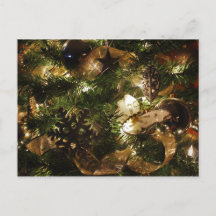 Die Weihnachtsschmetterlinge