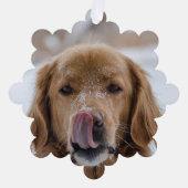 Die Weihnachtszauberkarte Ihres Hundes im Foto Ornament Karte (Vorderseite)