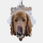 Die Weihnachtszauberkarte Ihres Hundes im Foto Ornament Karte (Linke Ecke)