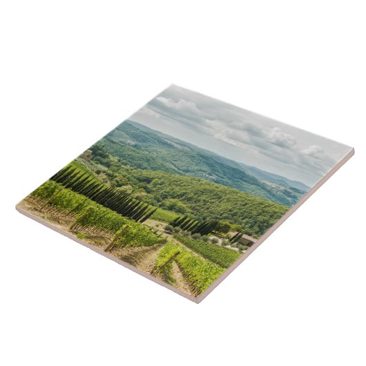 Die Weinberge in Chianti am Morgen. Fliese (Seite)