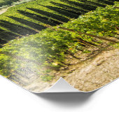 Die Weinberge in Chianti am Morgen. Fotodruck (Ecke)
