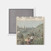 Die Weinernte Magnet (Vorderseite/Rückseite)