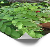 Die Weinfässer in Nordkalifornien Poster (Ecke)