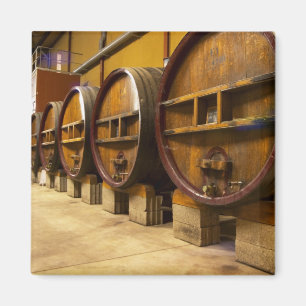 Die Weinkellerei mit großen alten Holzfässern Magnet