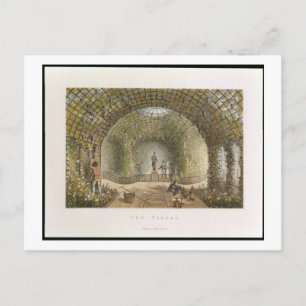 Die Weinstöcke, 'von den Fragmenten auf der Postkarte