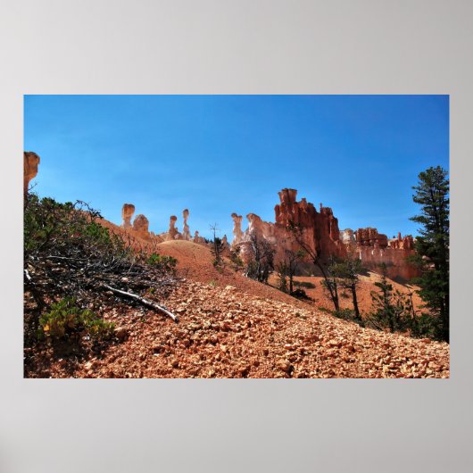Die Weisheit des Bryce Canyon Poster (Vorne)