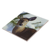 Die Weiß-angebundenen Rotwild (Odocoileus Fliese (Seite)
